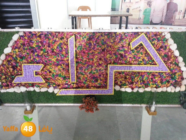 7era2 kotrye (18).JPG